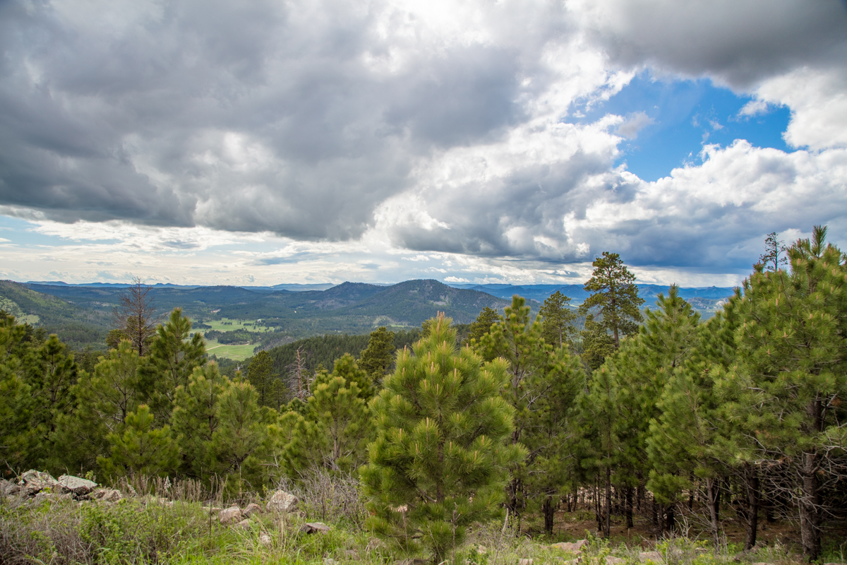 Custer State Park – DoubleDee Photography